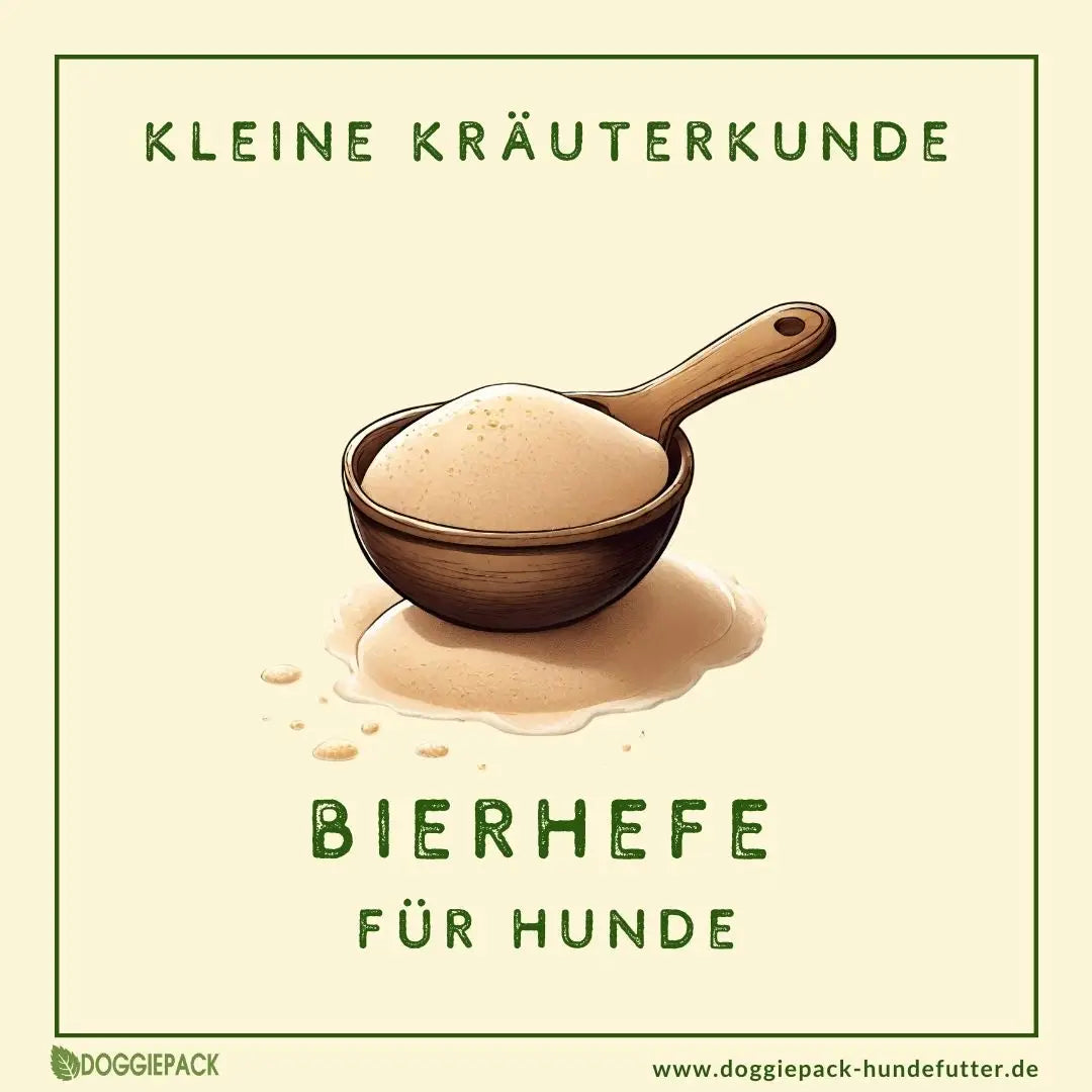Bierhefe für Hunde
