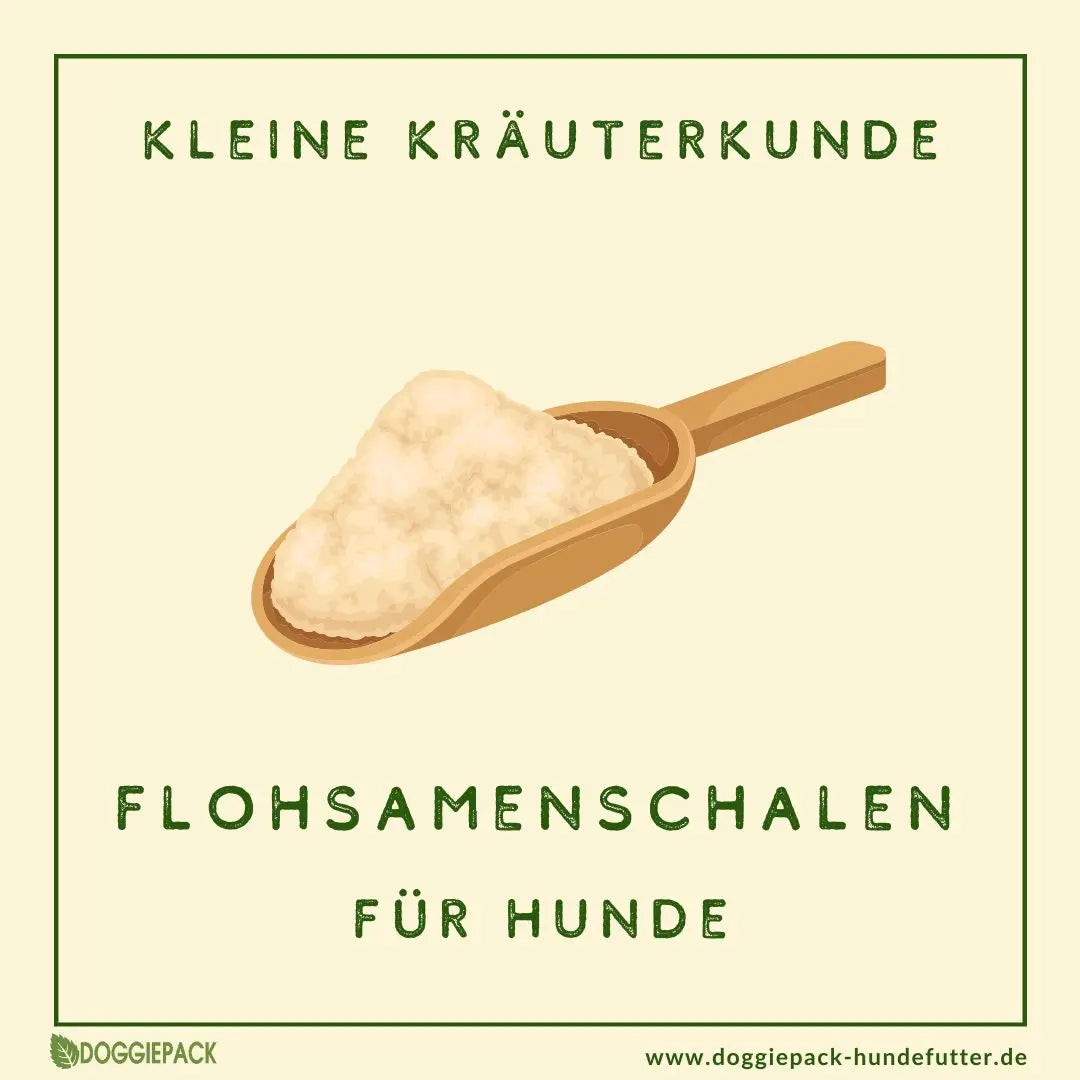 Flohsamenschalen für Hunde
