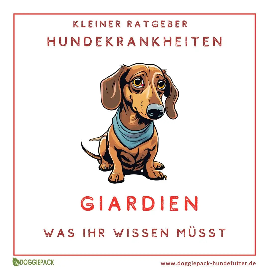 Giardien beim Hund – Was Ihr wissen müsst