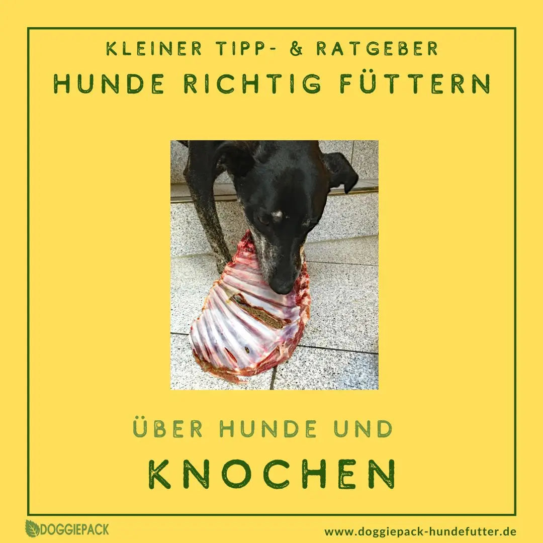 Über Hunde und Knochen