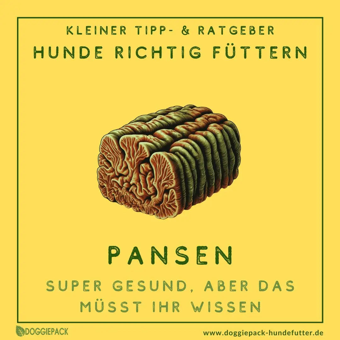 Pansen: Super gesund, aber das msst Ihr wissen