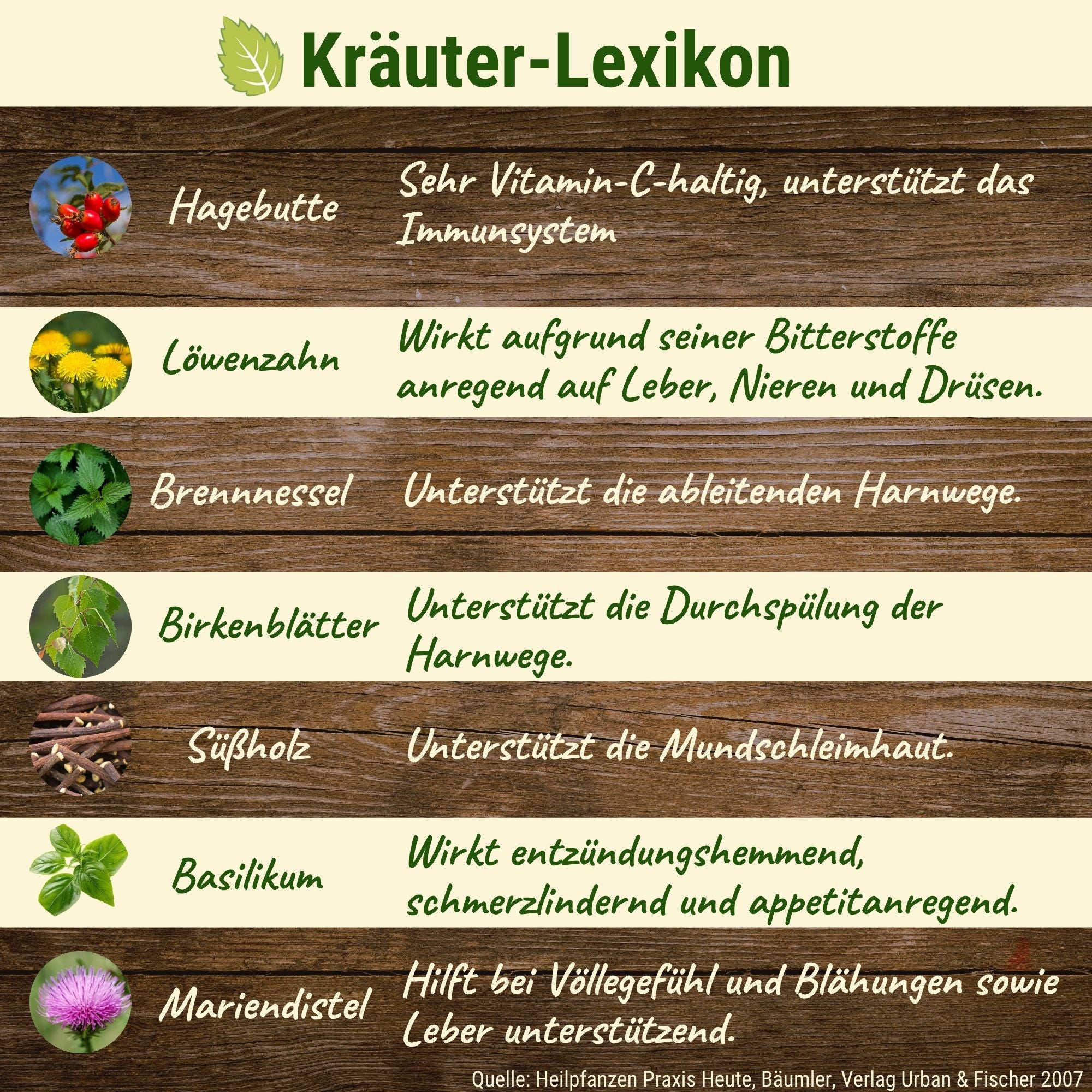 Adult Kräuter-Mix