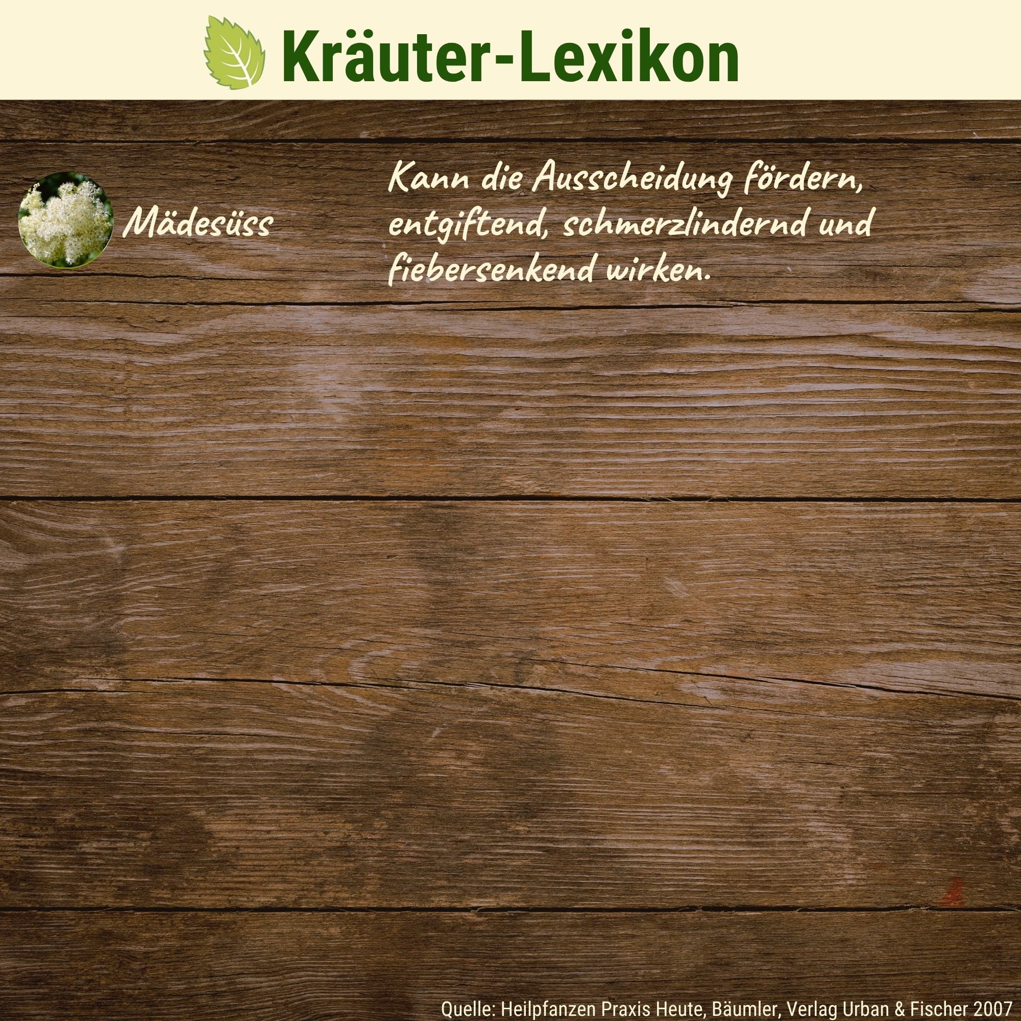 Adult Kräuter-Mix