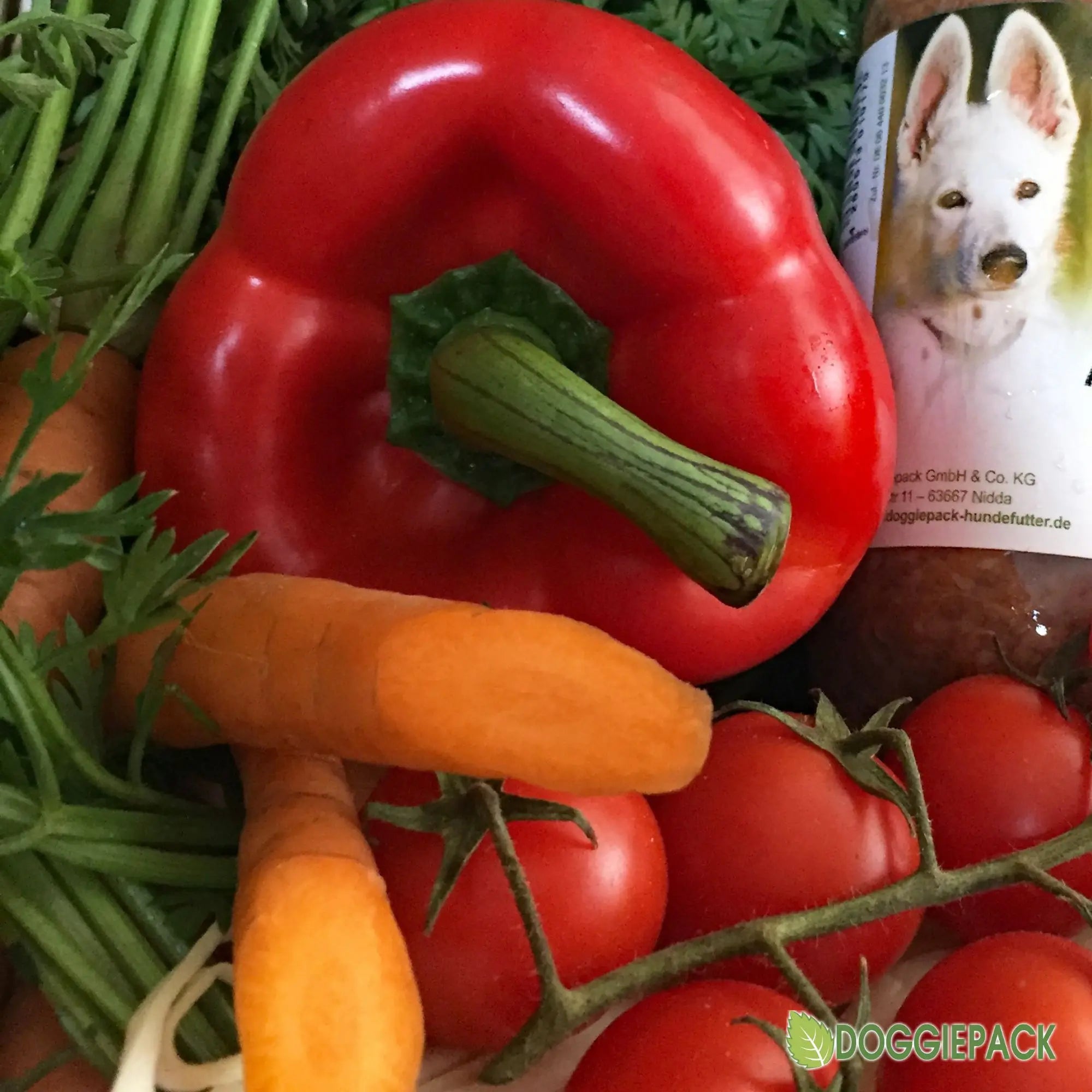 premium-barf-menue-rind-von-doggiepack-der-hundefutter-manufaktur