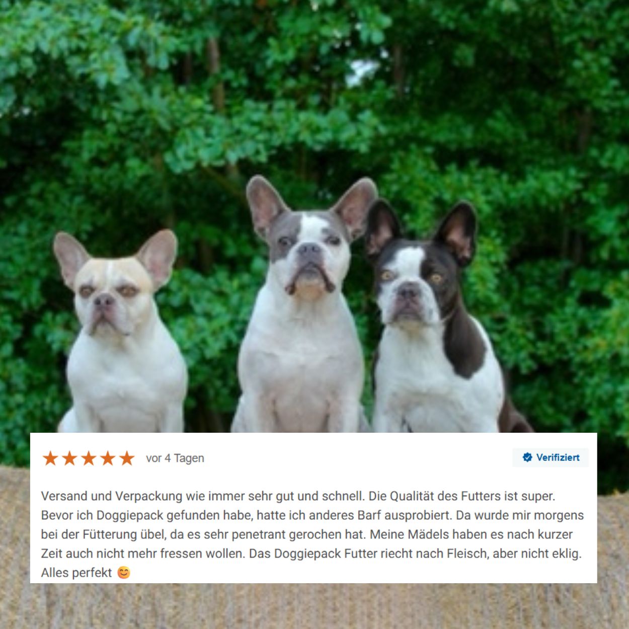 Sparpaket 320g Komplett Barf Menüs