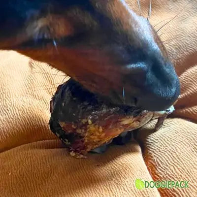natur-kau-artikel-fuer-grosse-und-mittelere-hunde