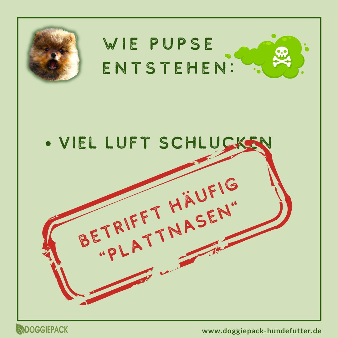 Pups-E+ Kräuter