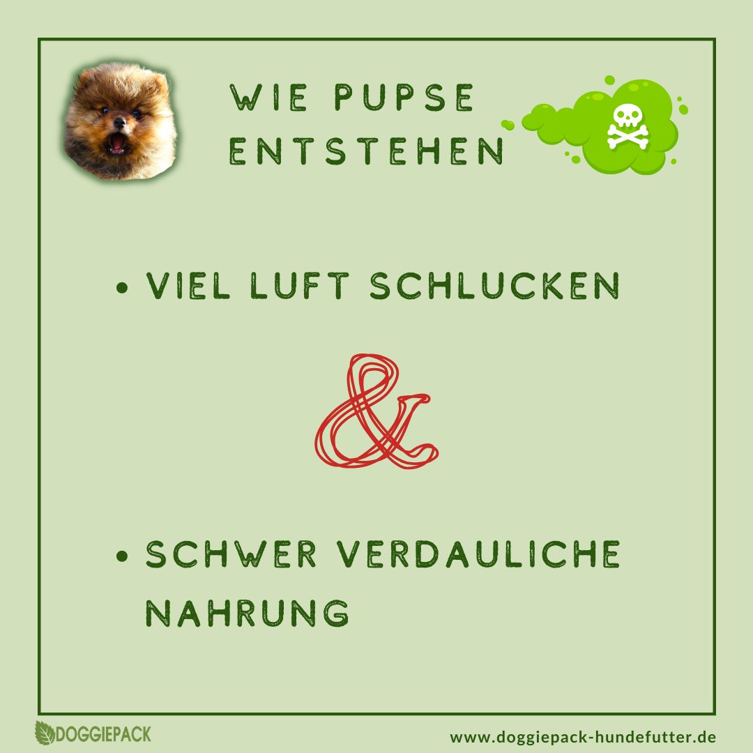 Pups-E+ Kräuter
