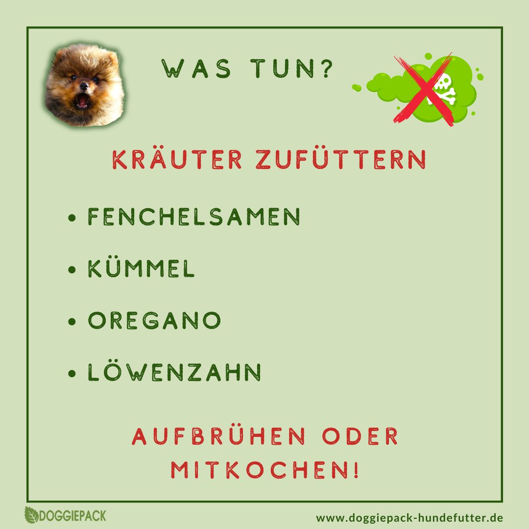 Pups-E+ Kräuter