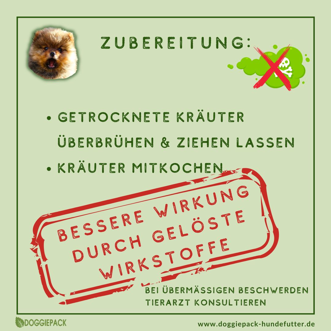 Pups-E+ Kräuter