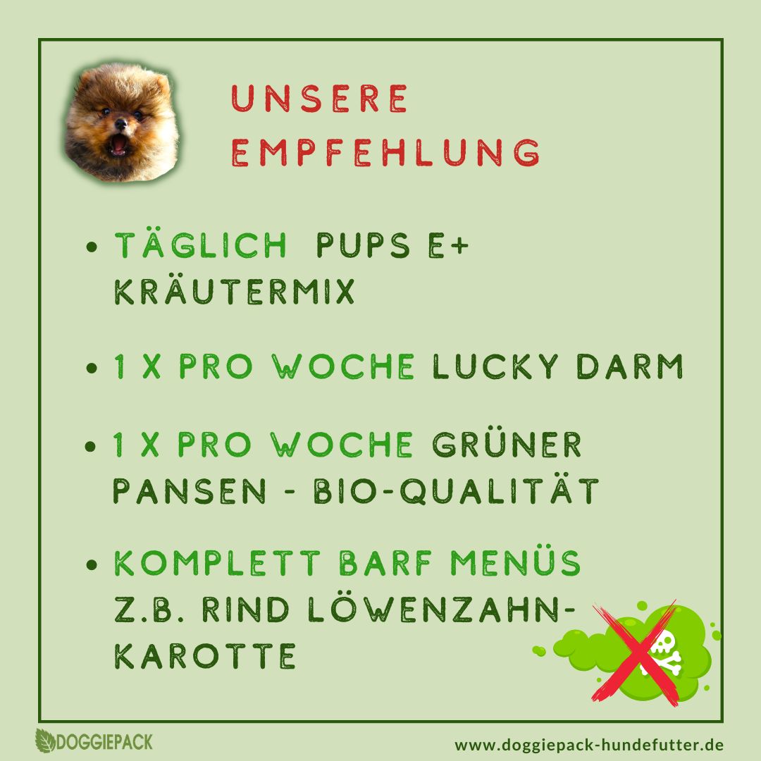 Pups-E+ Kräuter