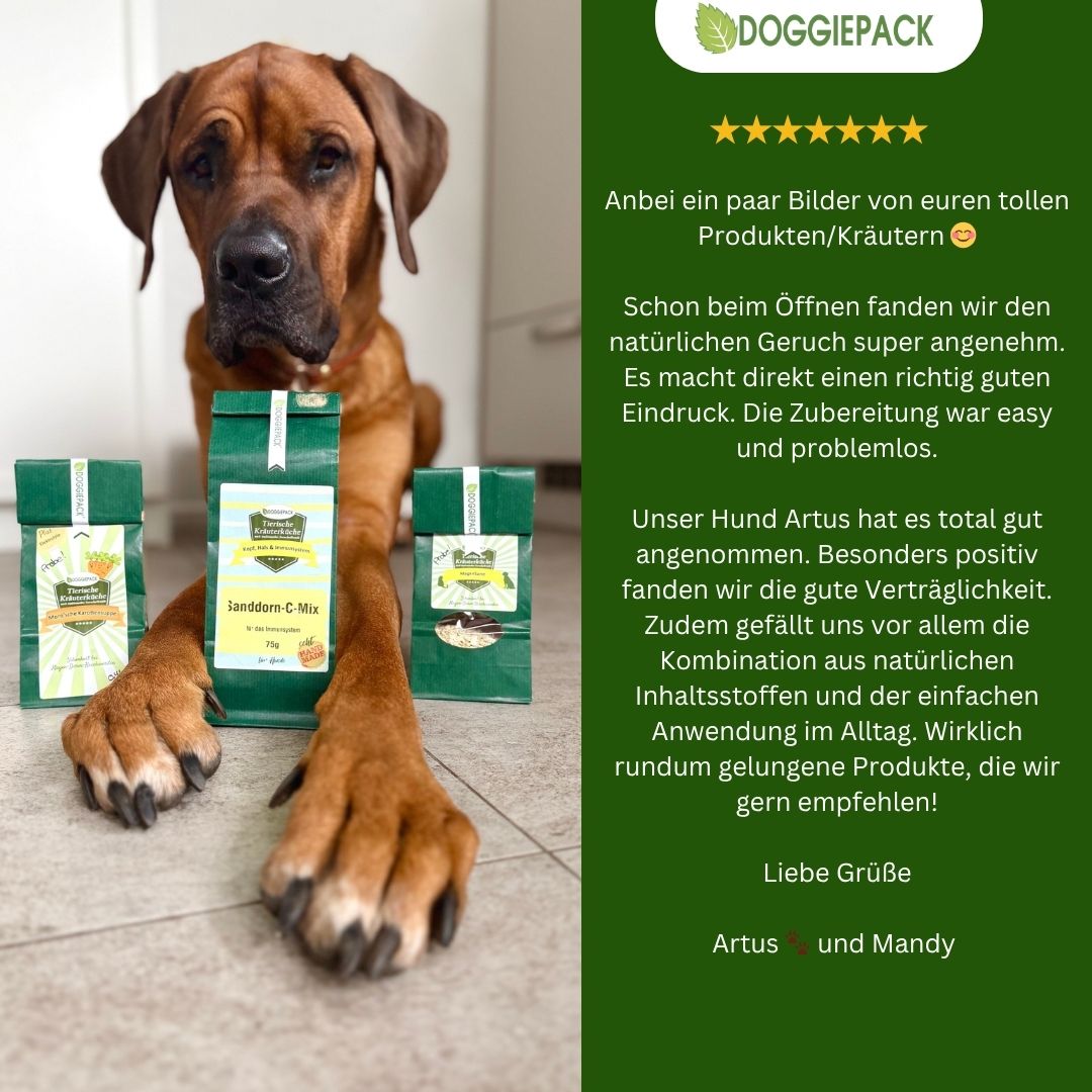 Premium Bierhefe für Hunde