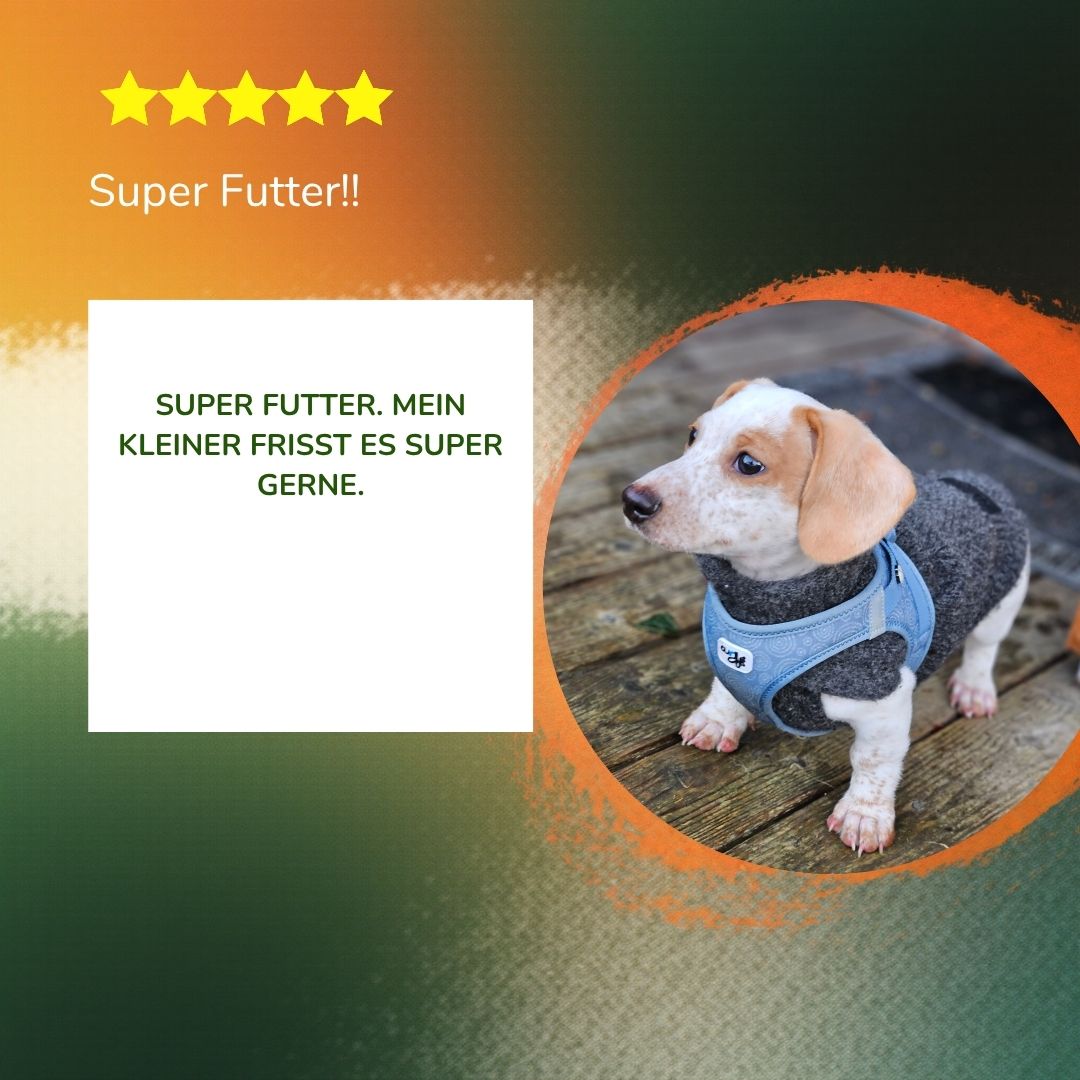 140g Komplett Barf Menüs Sparpaket