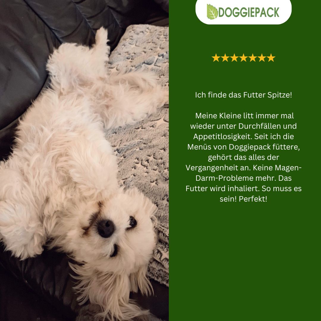 Lucky Darm - natürliche Darmpflege für Hunde