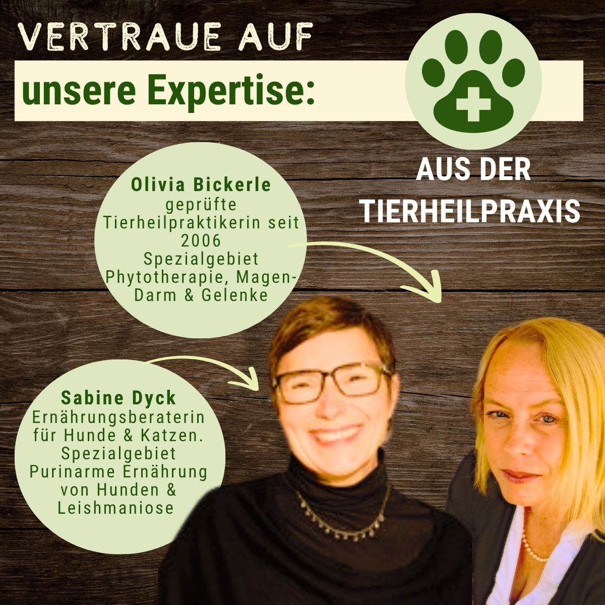 Probierpaket Purinarmes Hundefutter