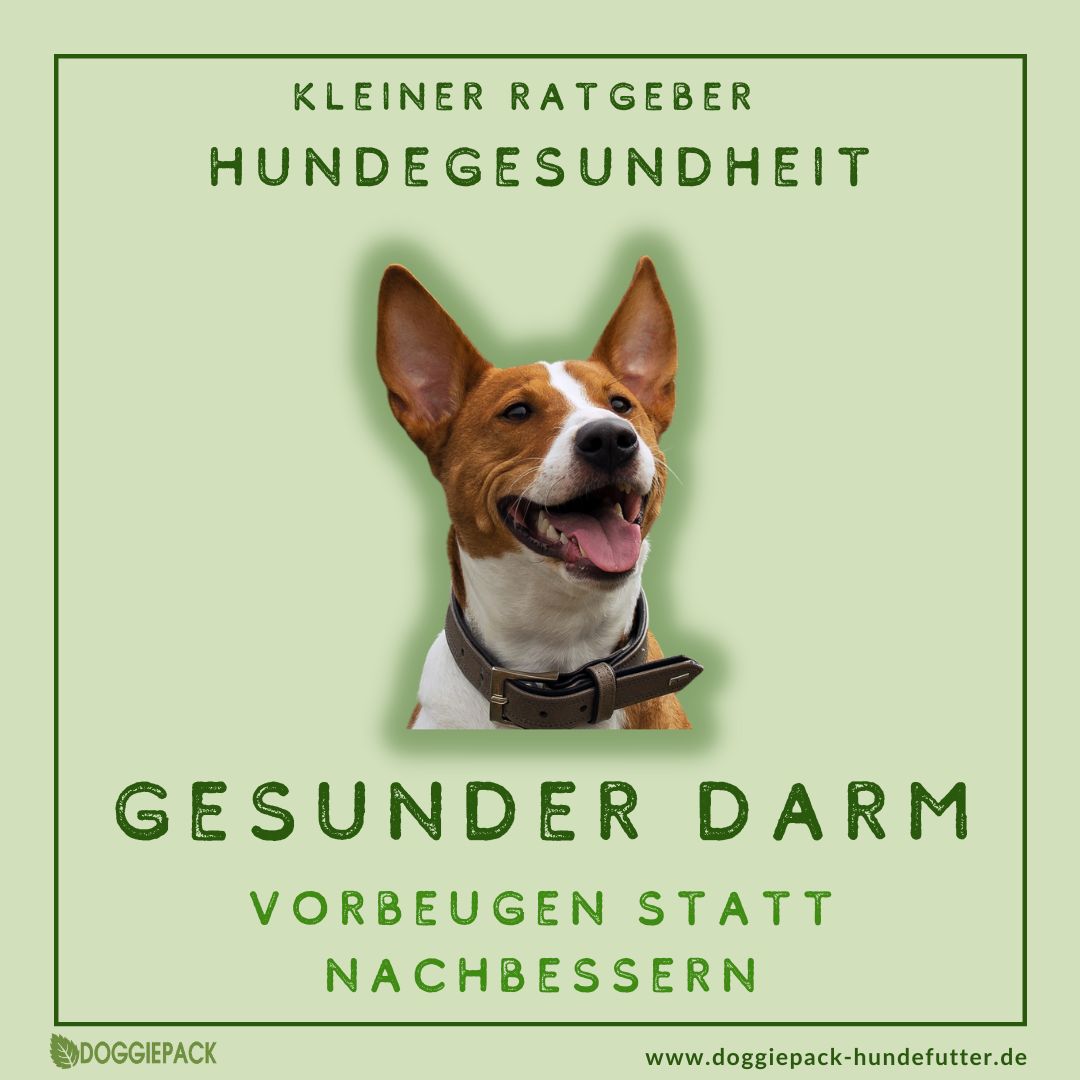 Lucky Darm - natürliche Darmpflege für Hunde
