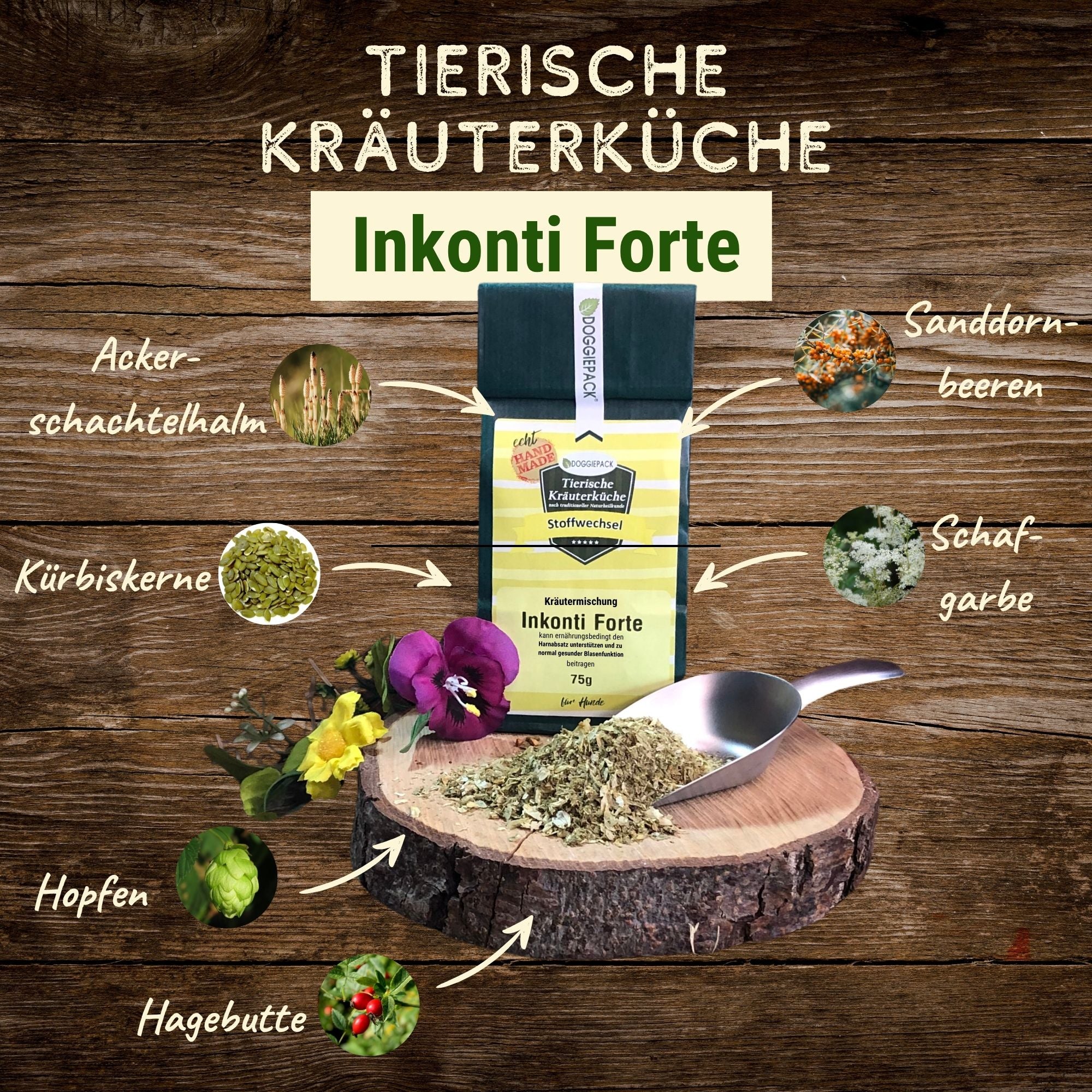 Inkonti Forte