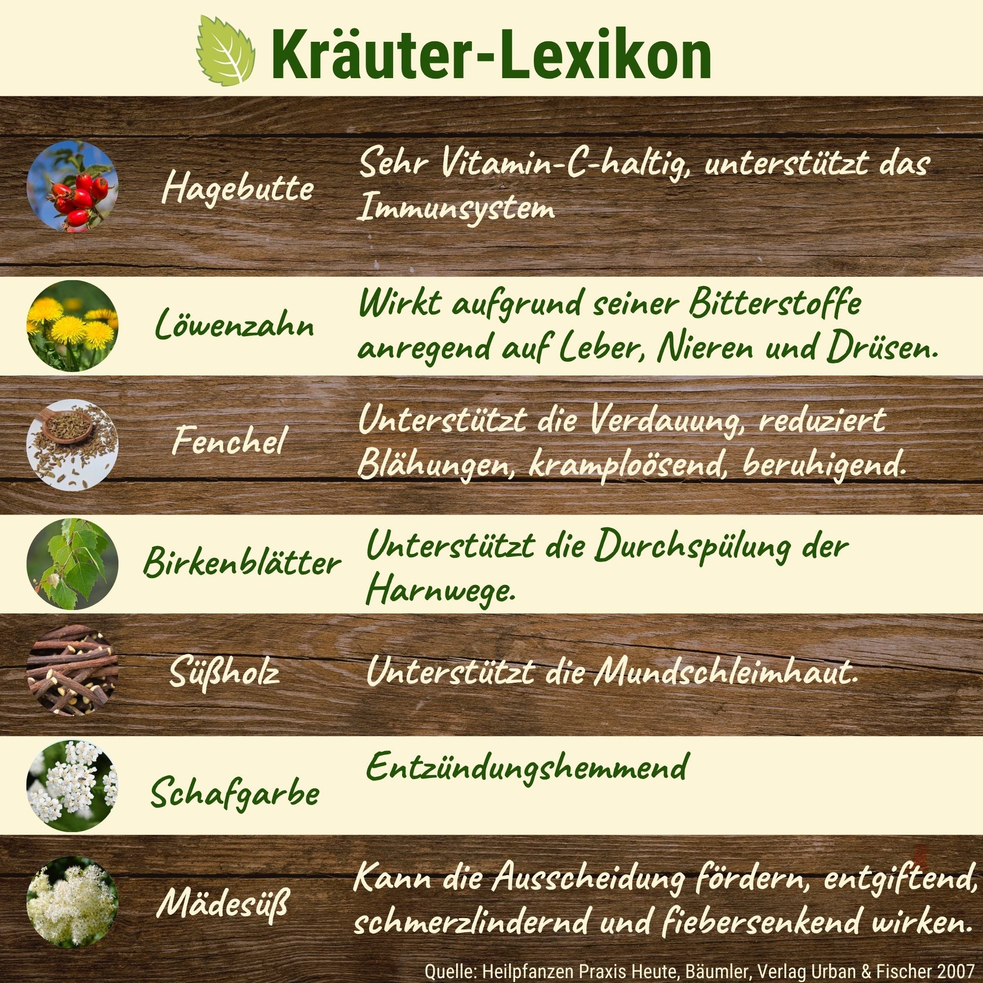 Junior Kräuter-Mix