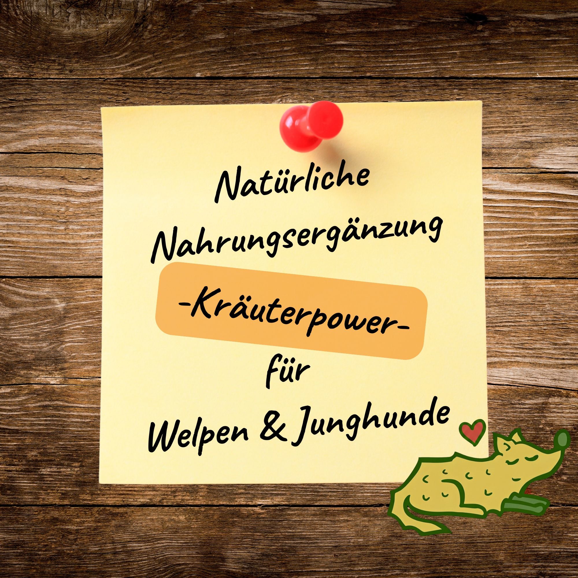 Junior Kräuter-Mix