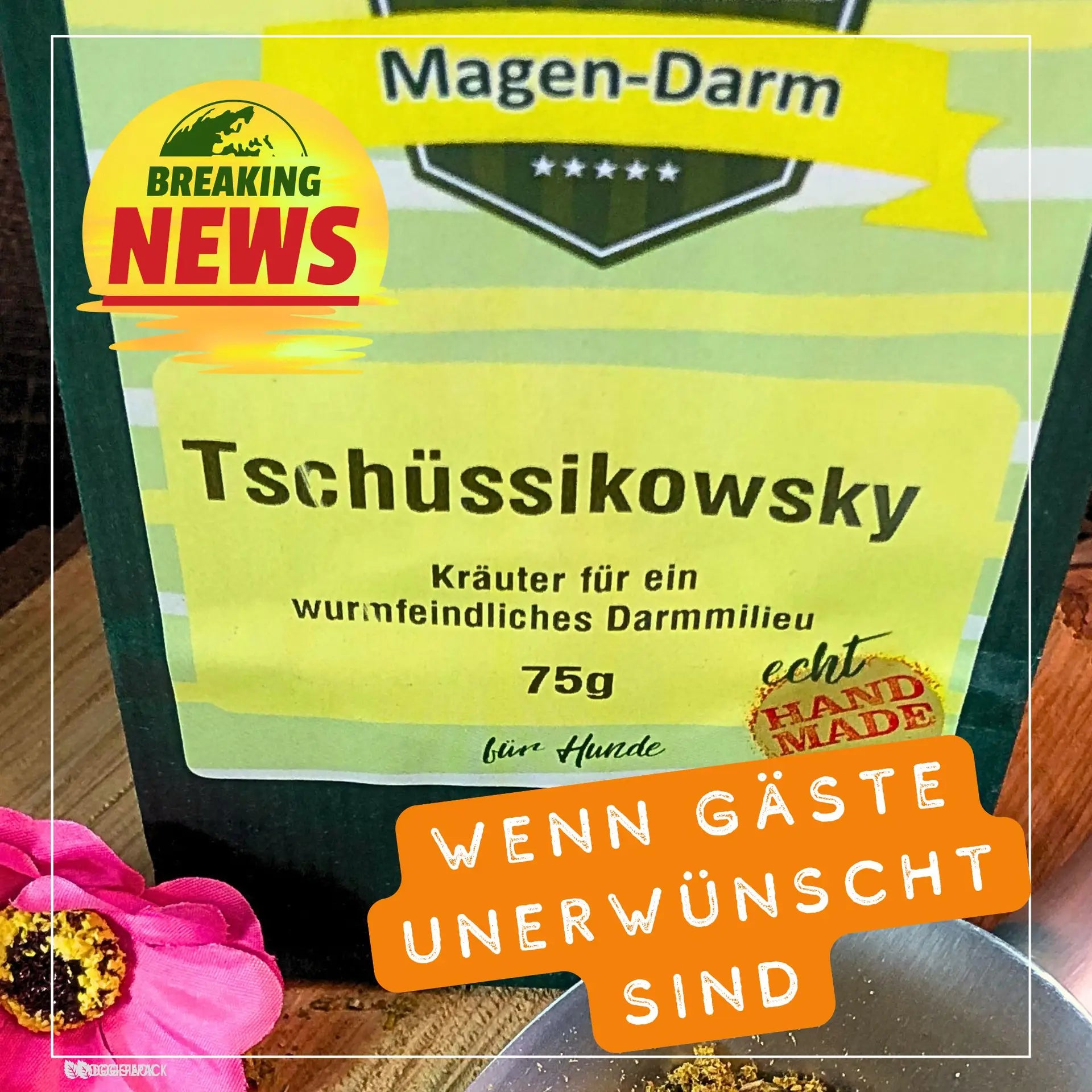 KM Tschüssi 1