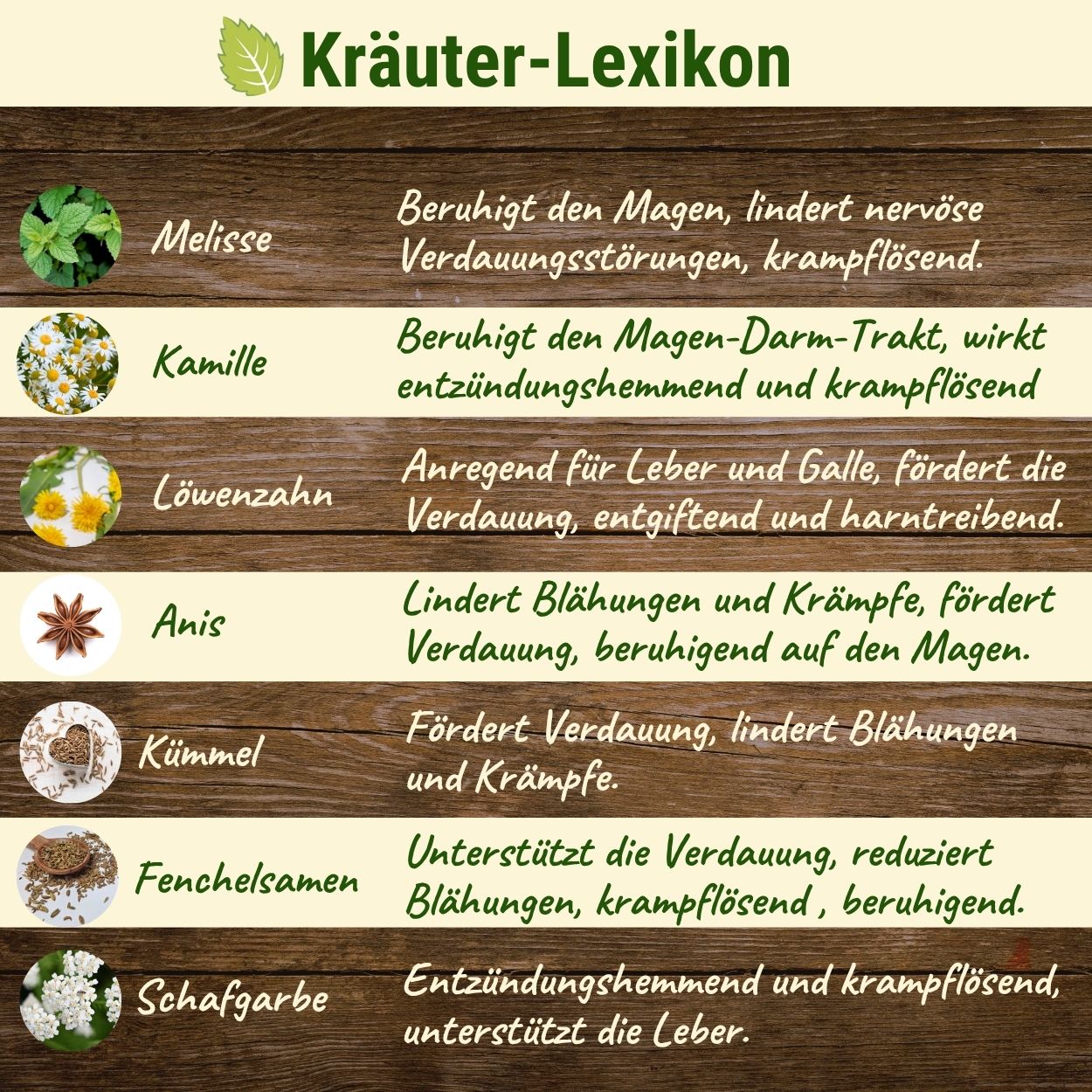 Verdauungs-Kräuter