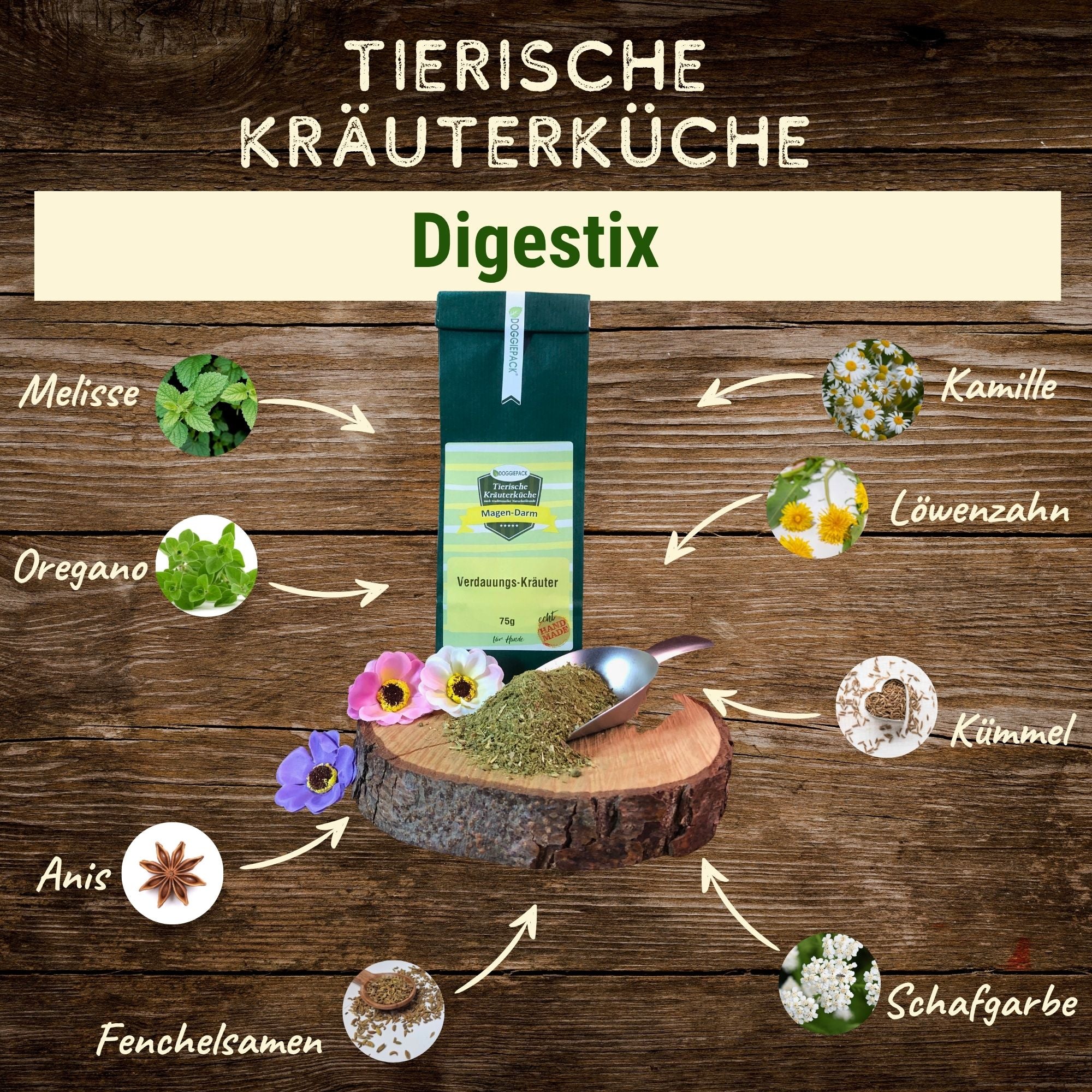 BauchGlück-Set