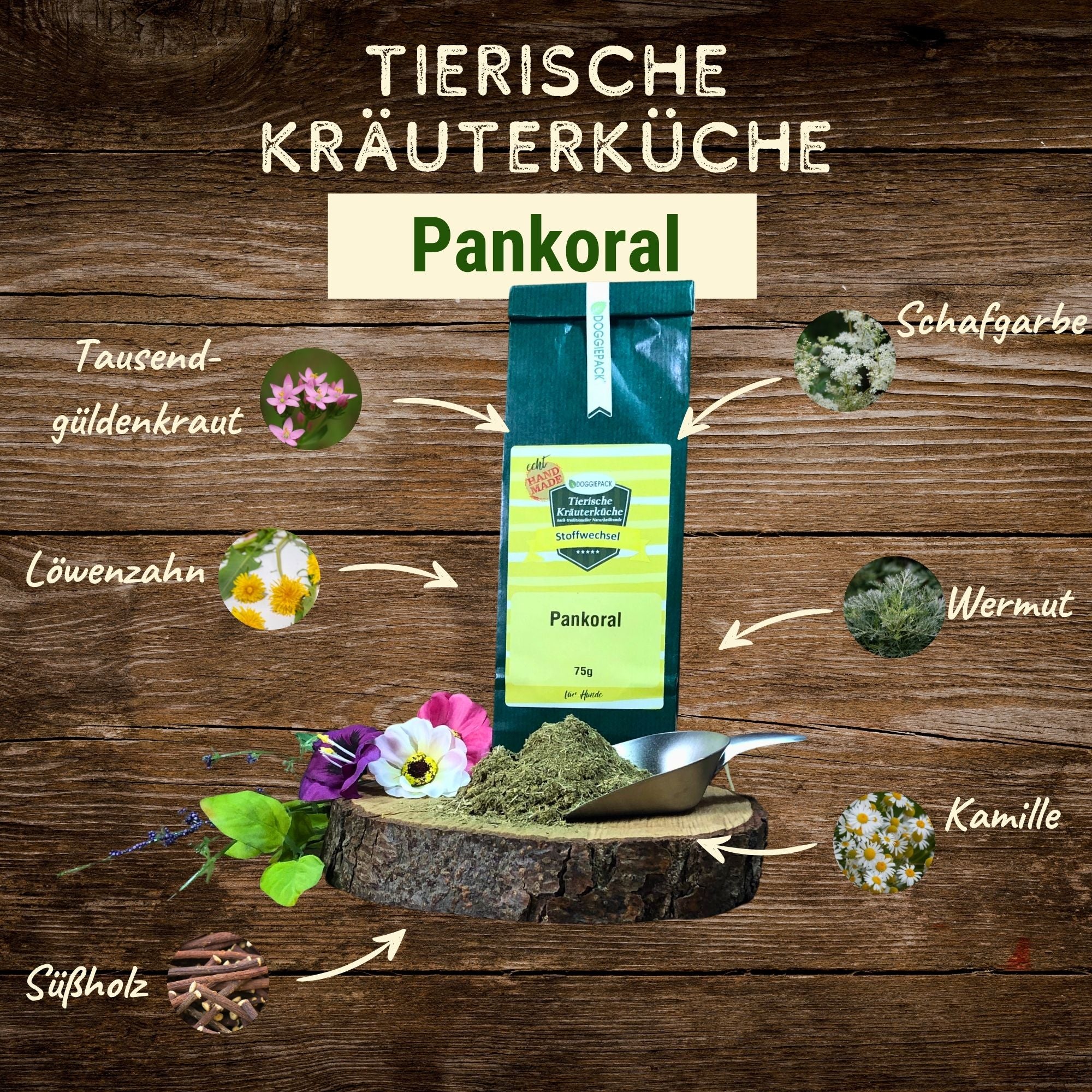 Pankoral - Kräuter Bauchspeicheldrüse