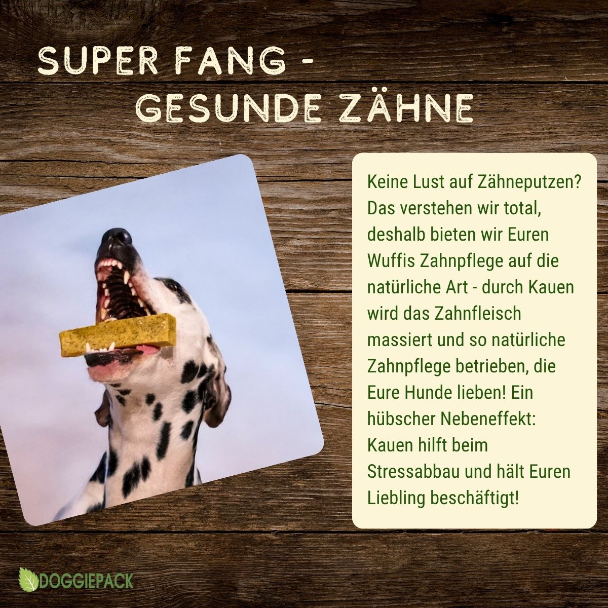 Käse-Kauknochen Gr. S