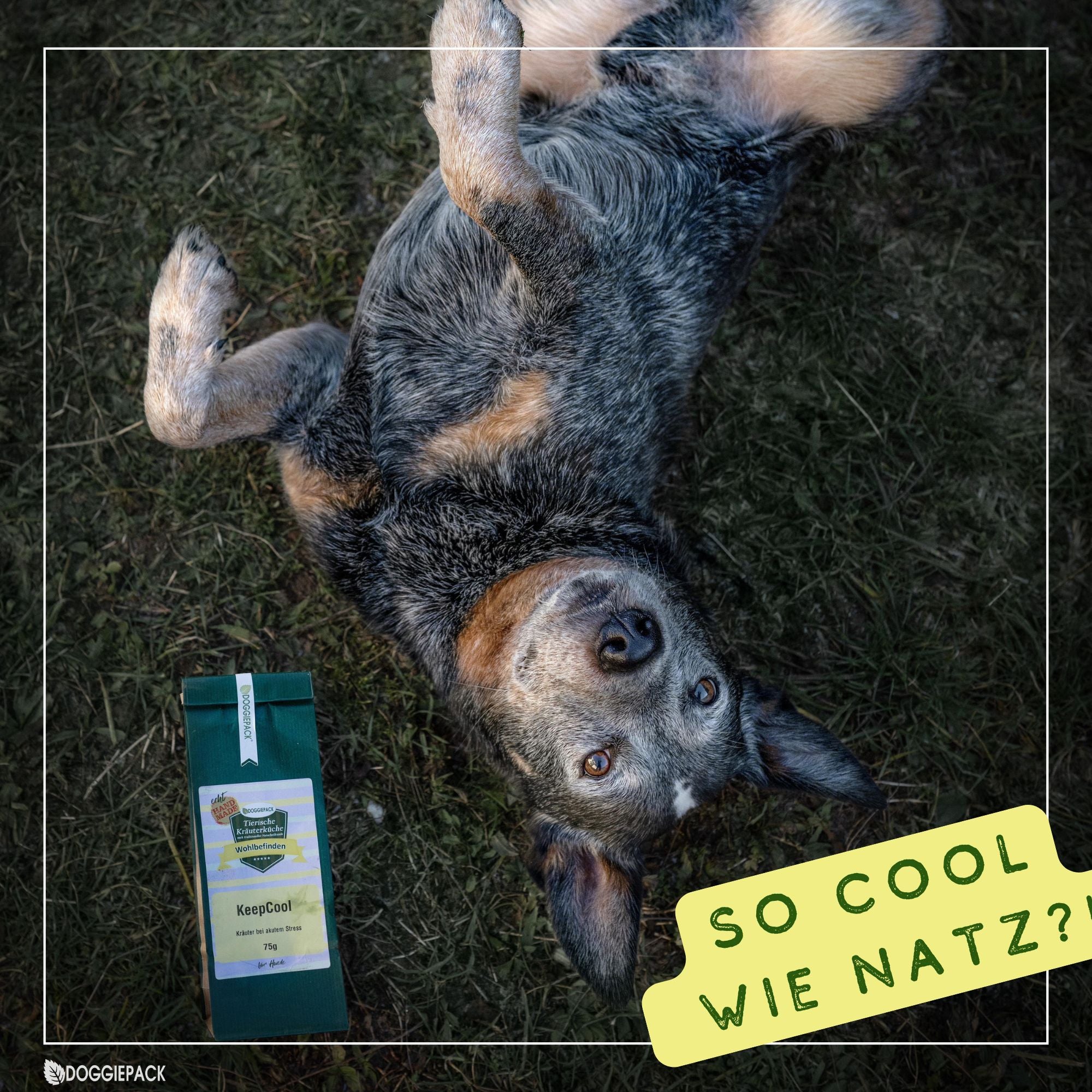 KeepCool - Kräuter