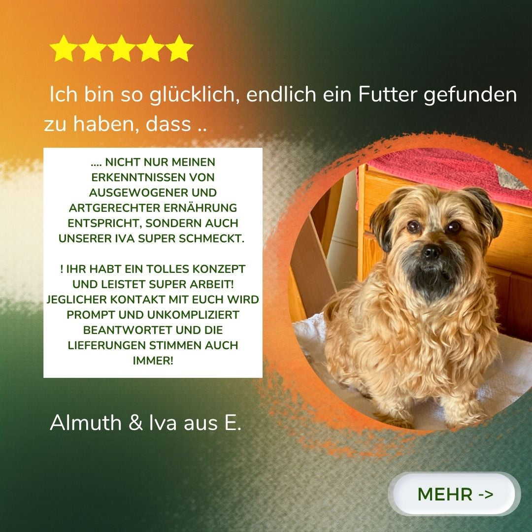 140g Komplett Barf Menüs Sparpaket