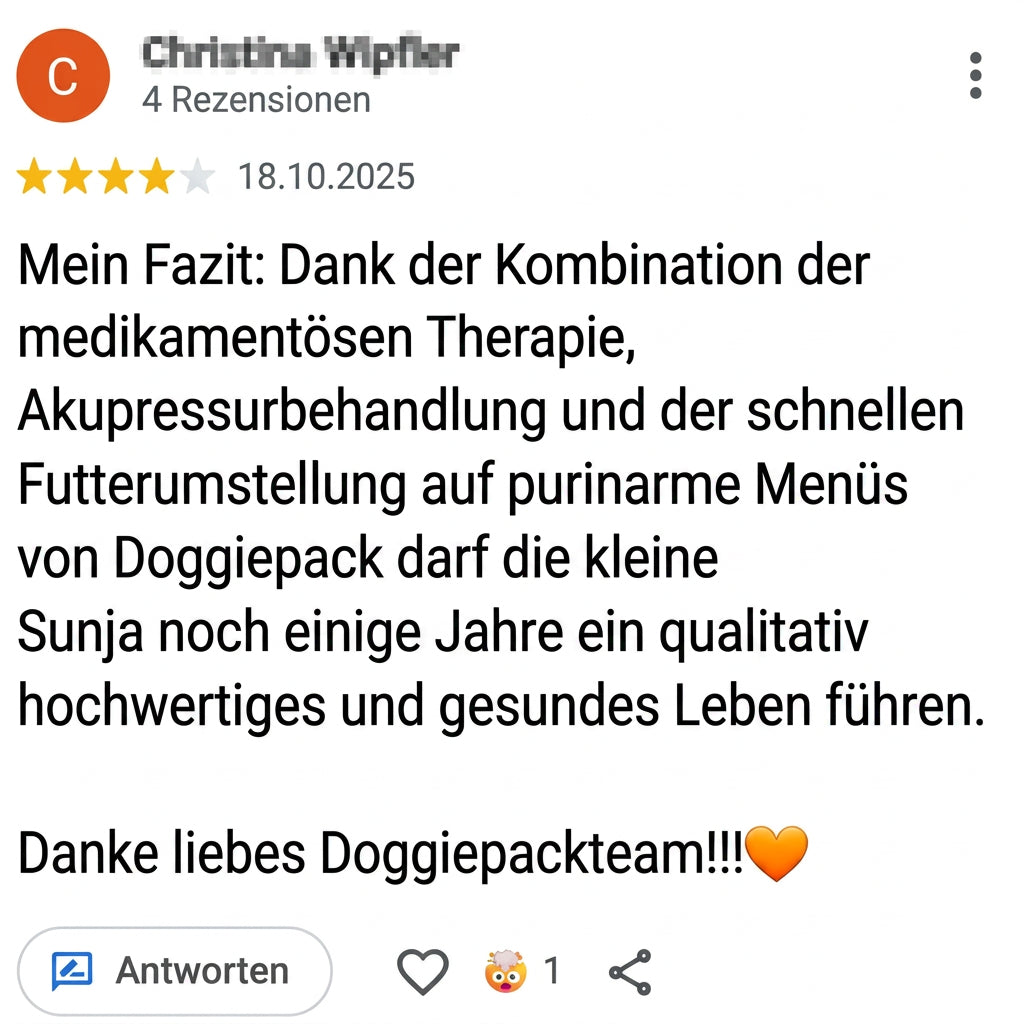 Probierpaket Purinarmes Hundefutter