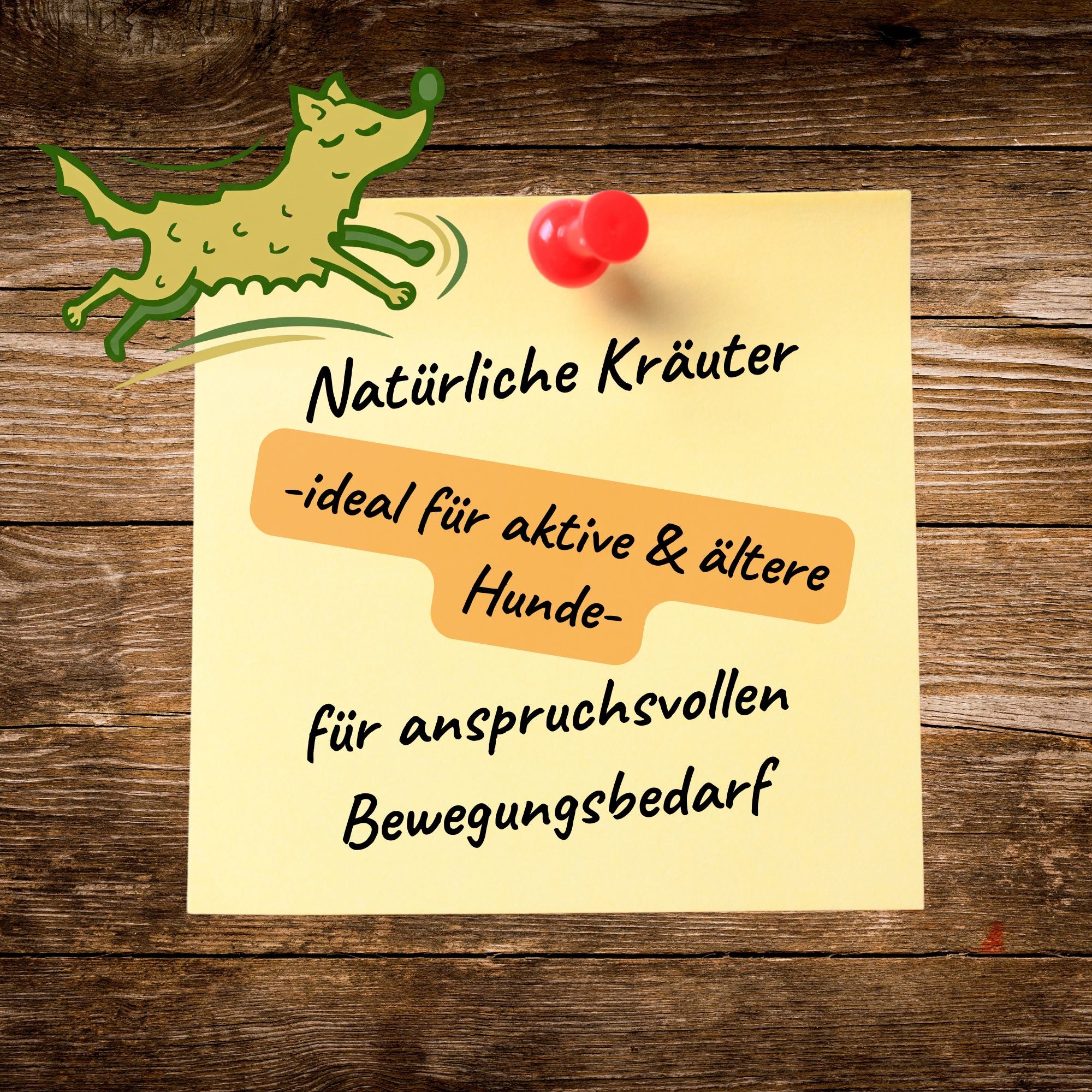 Lauffreude - Kräutermix