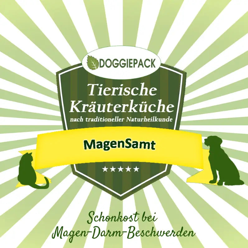 fuer-gastritis-bei-hunden