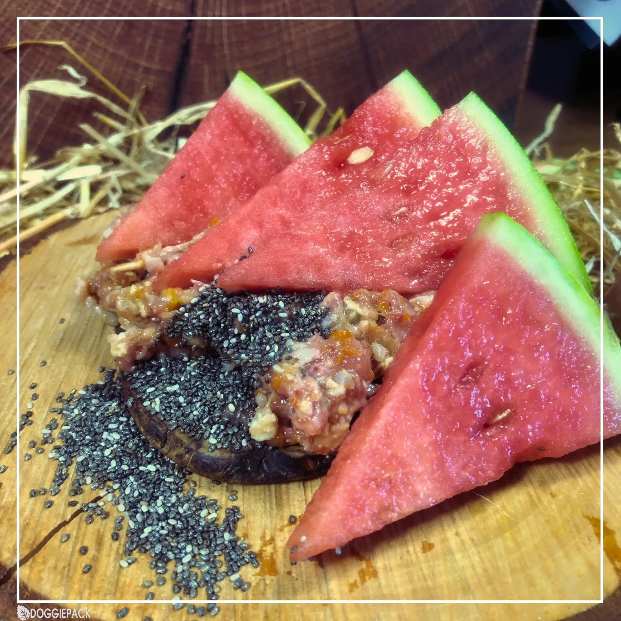 premium-barf-menue-der-saison-melone-chia