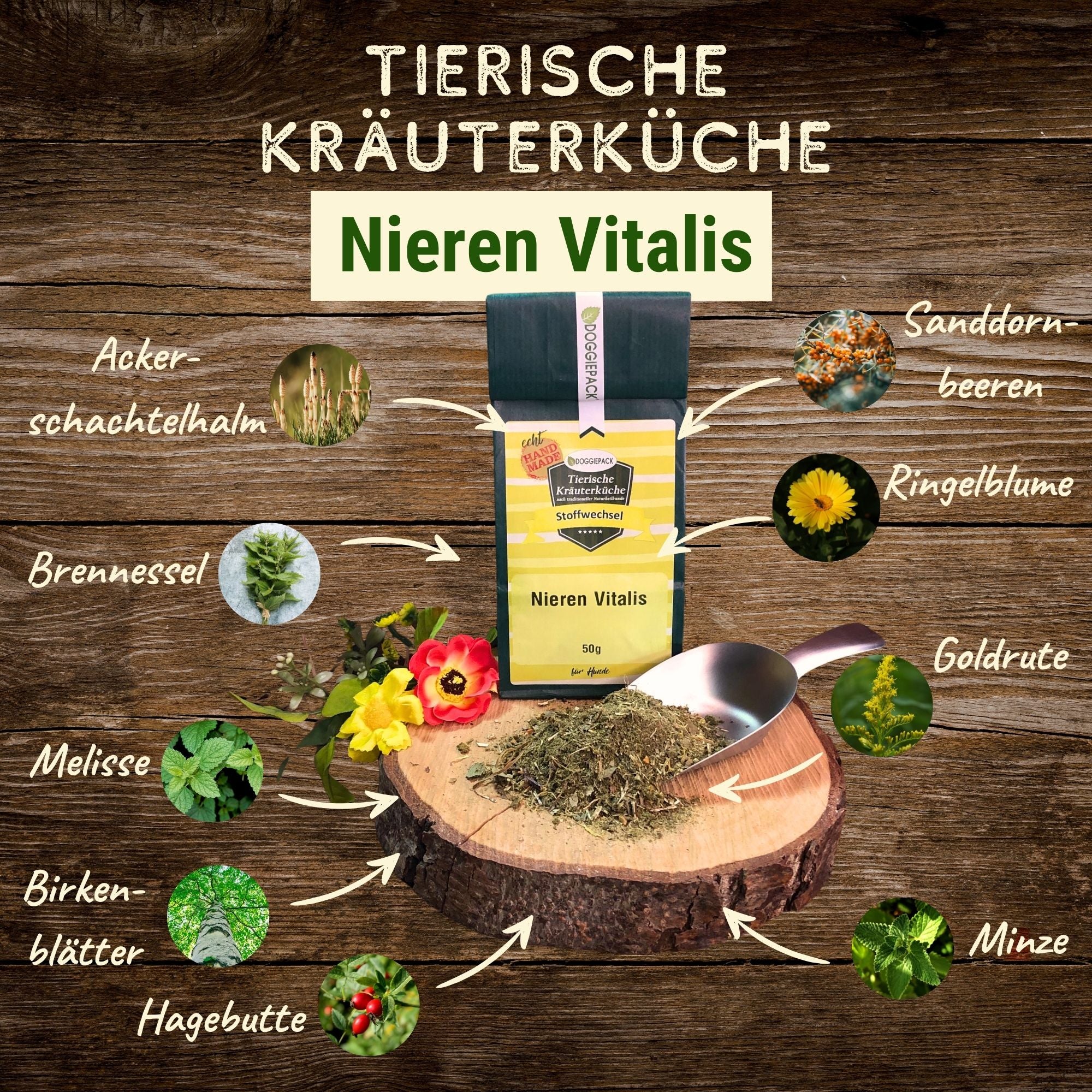 Nieren Vitalis