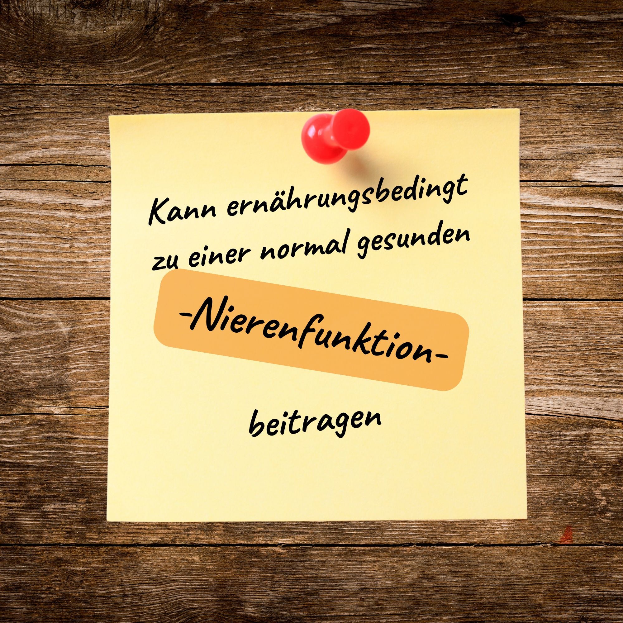 Nieren Vitalis