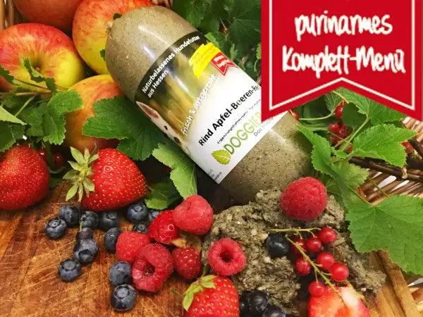 Rind_apfel_beeren_reis_Purinarmes_hundefutter_doggiepack_barf_600x600
