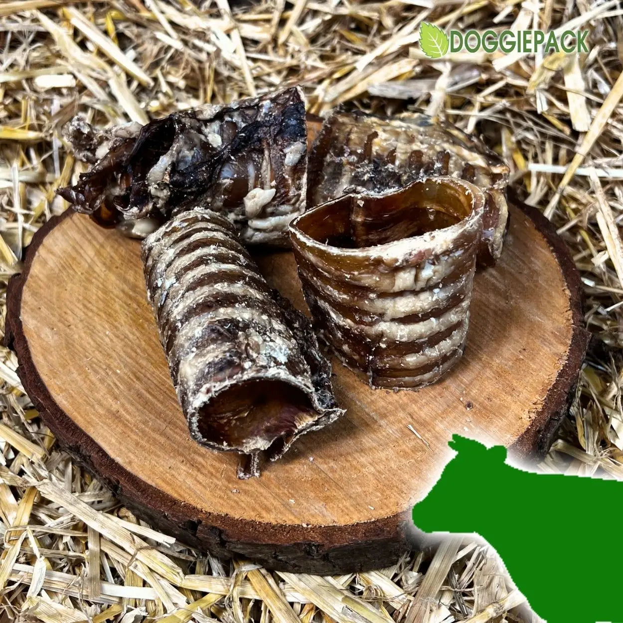 strossen-fuer-hunde-der-perfekte-kauartikel