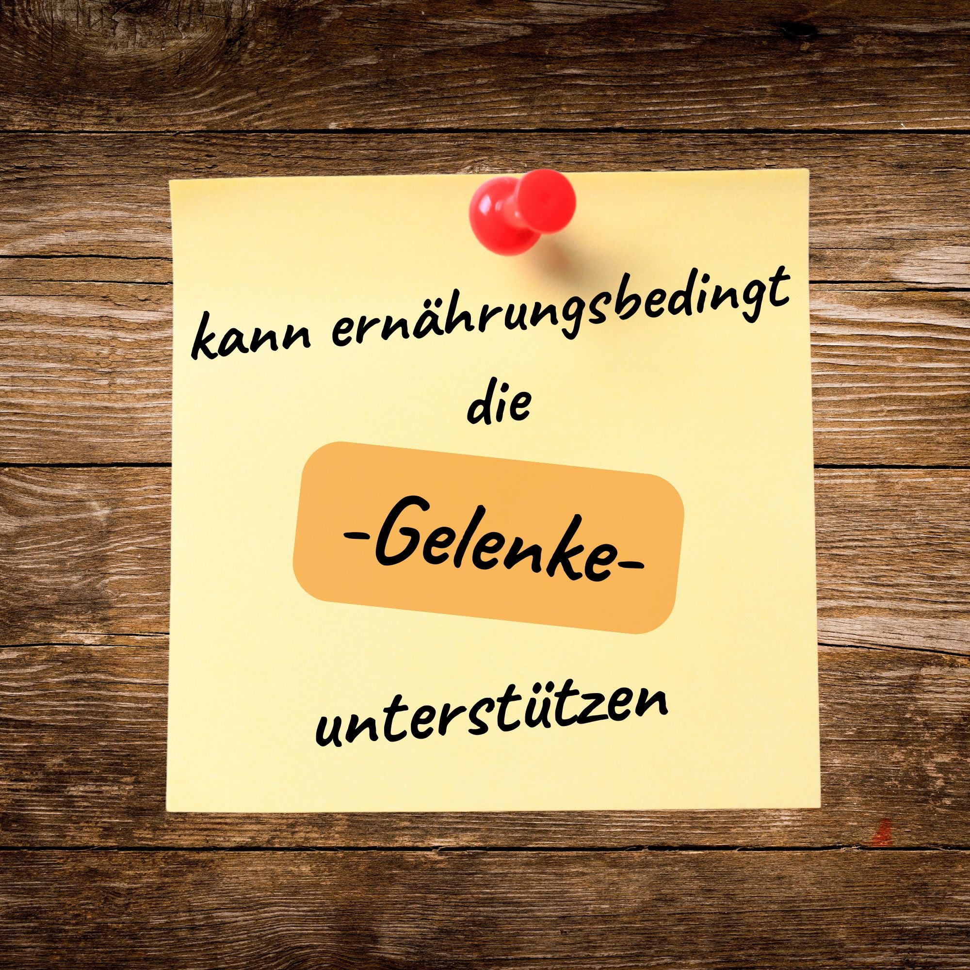 Schmierstoff - das Gelenk-Liquid - MSM Glucosamin