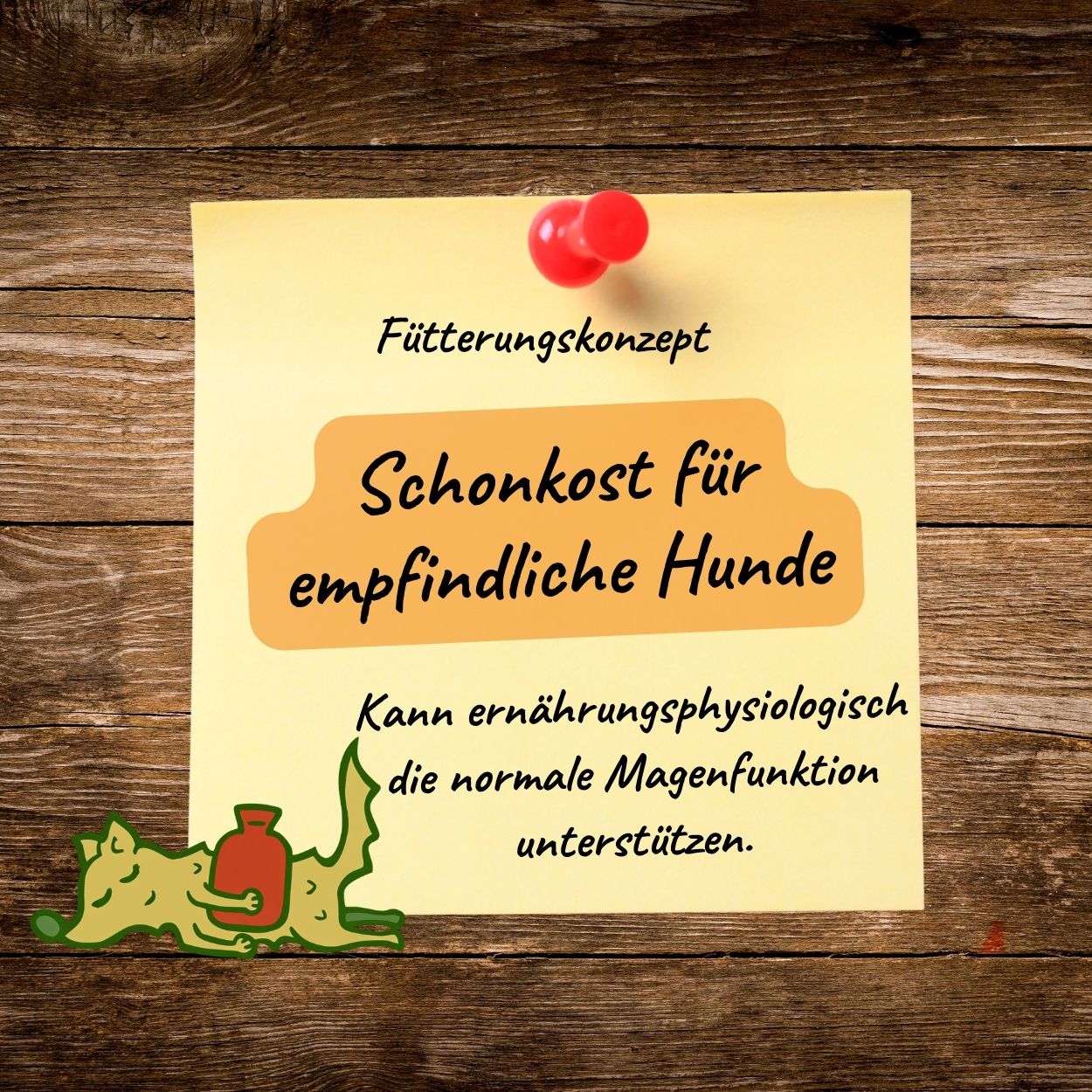 Schonkost-Pack PLUS - bei speziellem Ernährungsbedarf