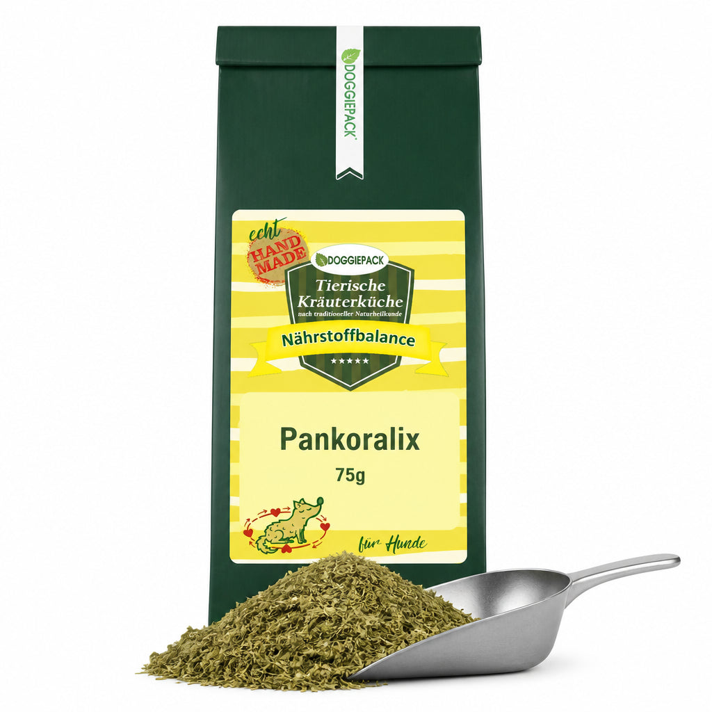 Pankoralix Kräuter für Hunde