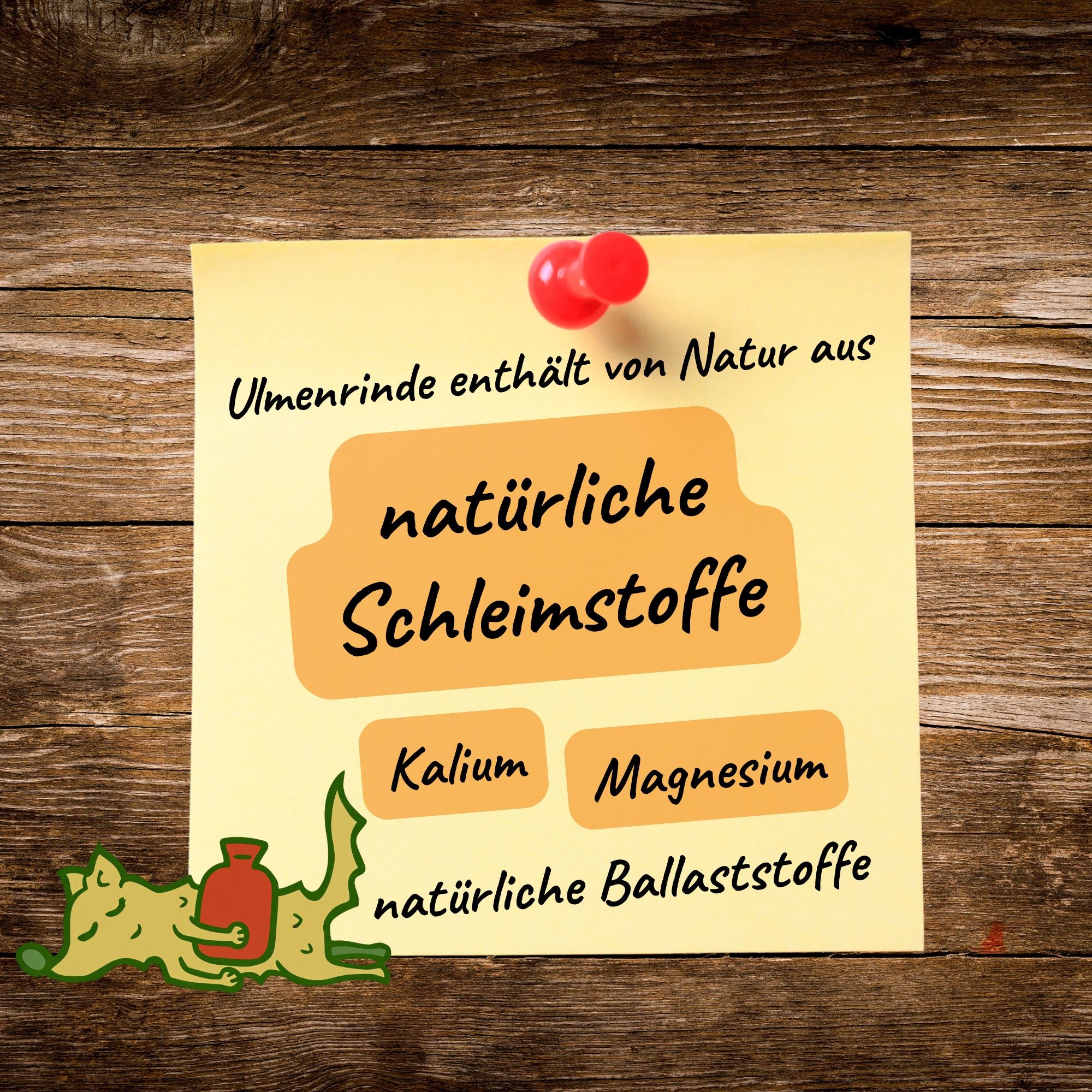 Ulmenrinde