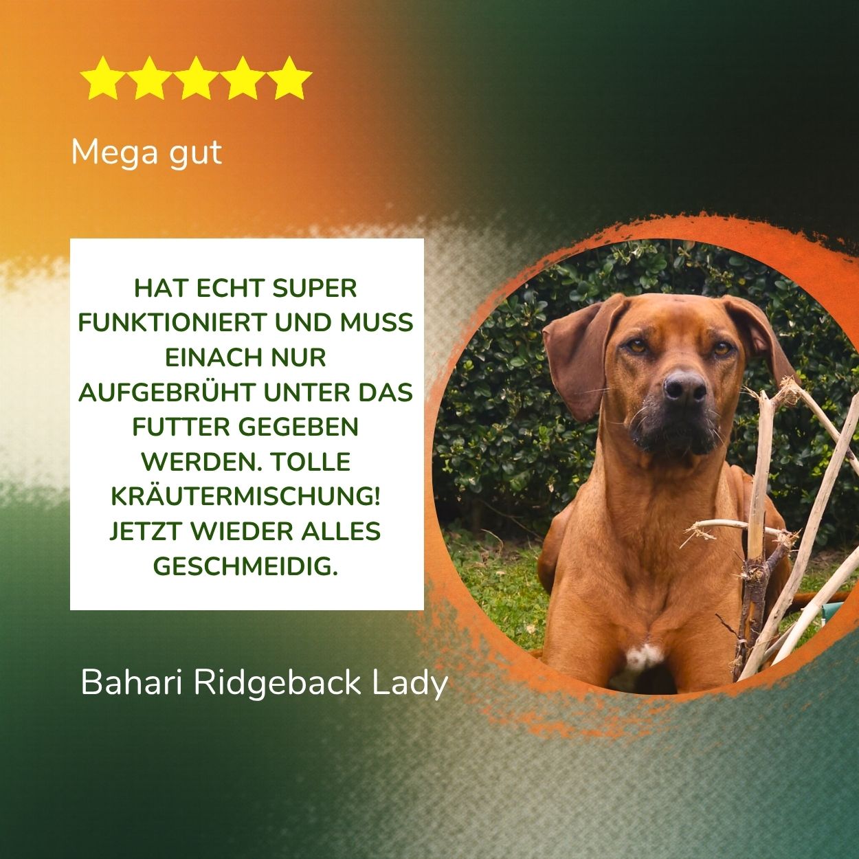 Verdauungs-Kräuter