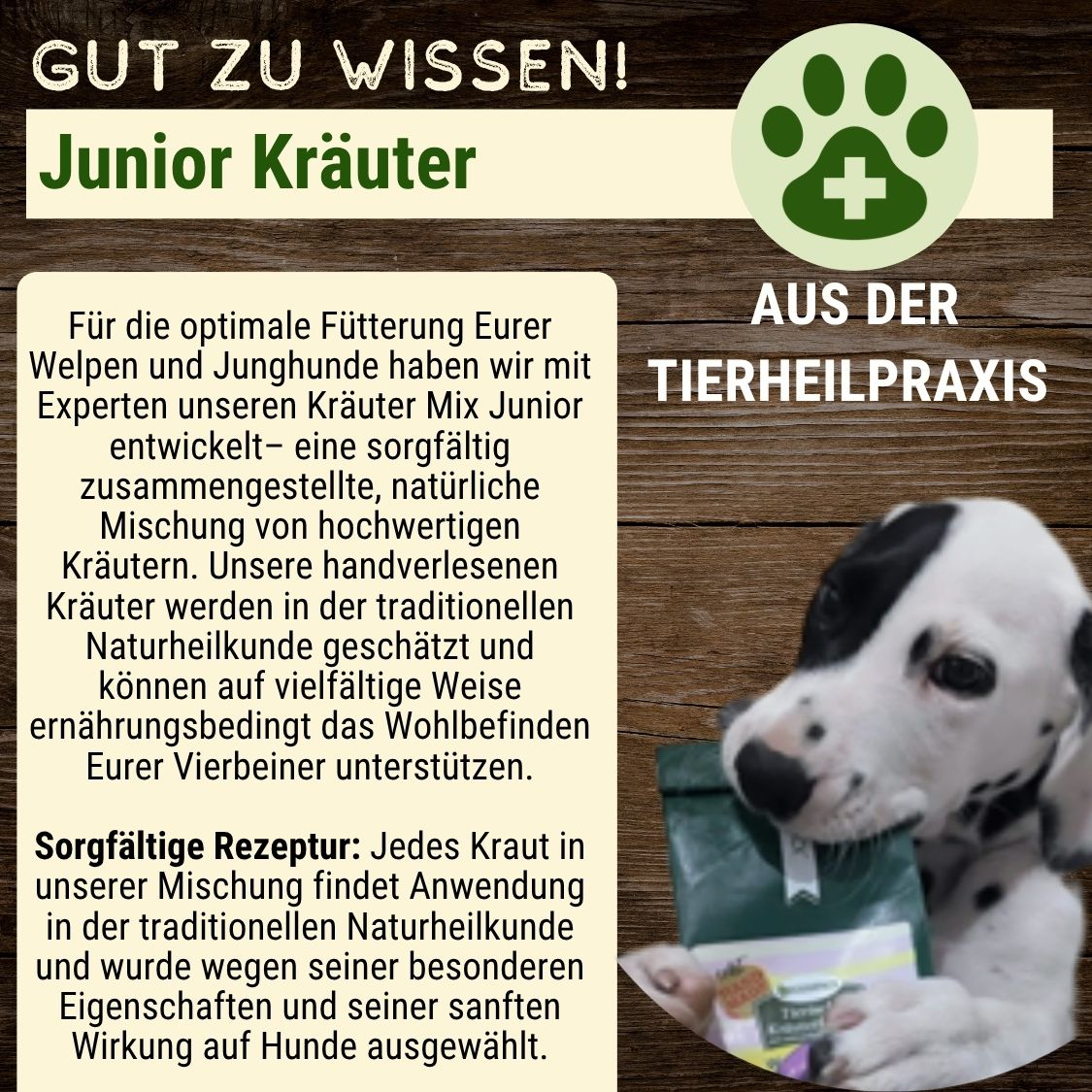 Junior Kräuter-Mix