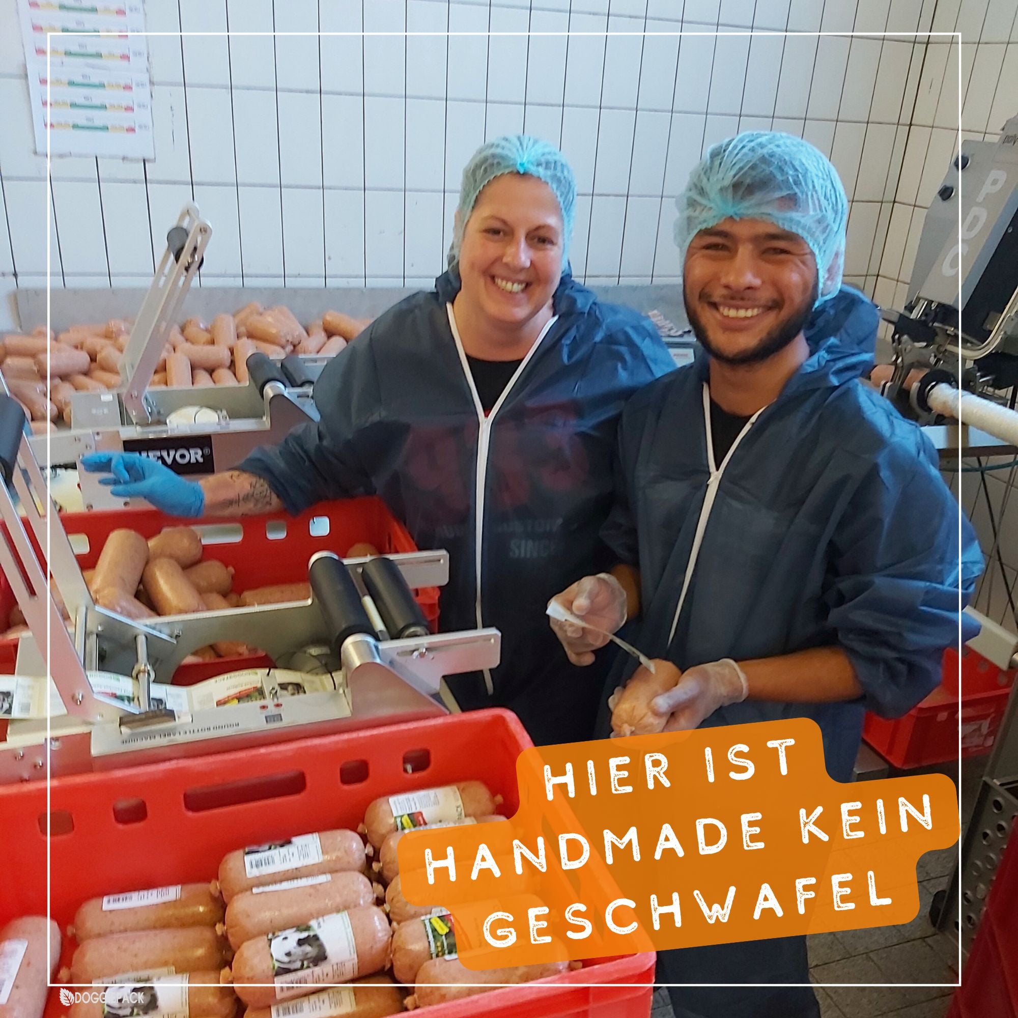 Barf Menüs Probierpaket mit Kühltasche & Geld-zurück-Garantie