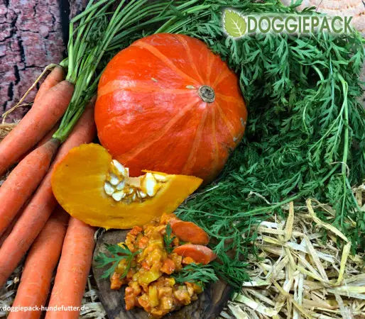 doggiepack_kuerbis_karotte_loewenzahn_barf_gemuese_doggiepack_gesund_lecker