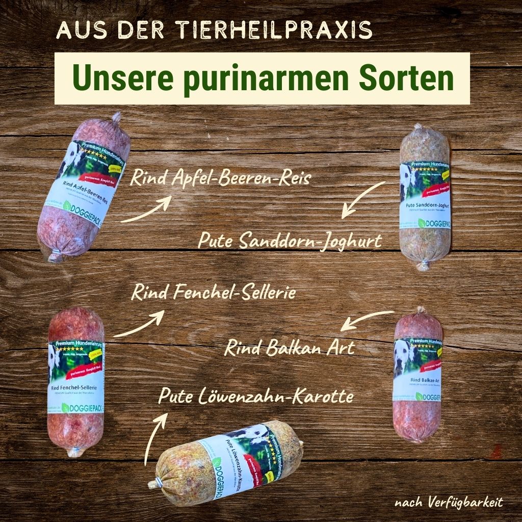 Purinarm Rind mit Apfel-Beeren-Reis