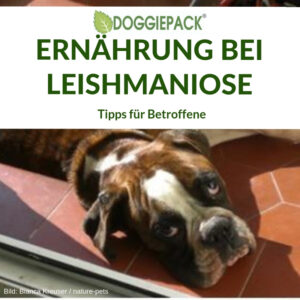 ernaehrung_leishmaniose_doggiepack_tipps