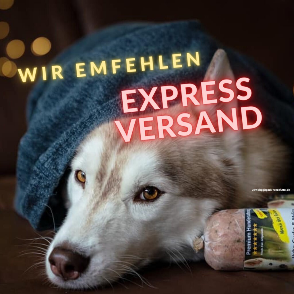 Hundefutter_Express_Versand_empfehlung