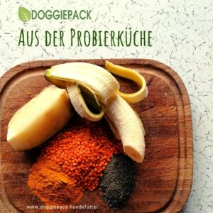 kraftprotz-probierkueche-hundefutter-doggiepack-barf-gemuese